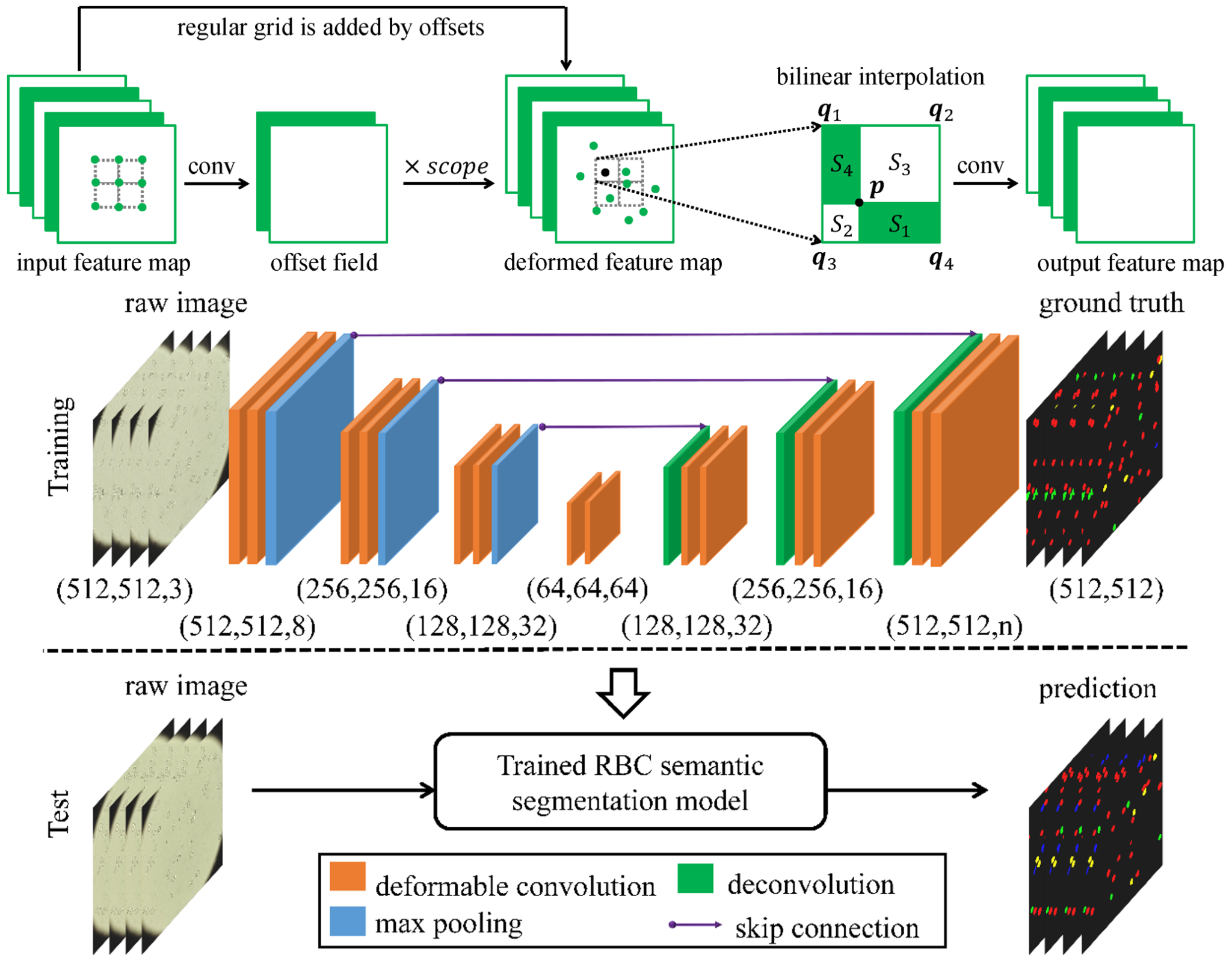 technology-processing-image-segmentation-camca