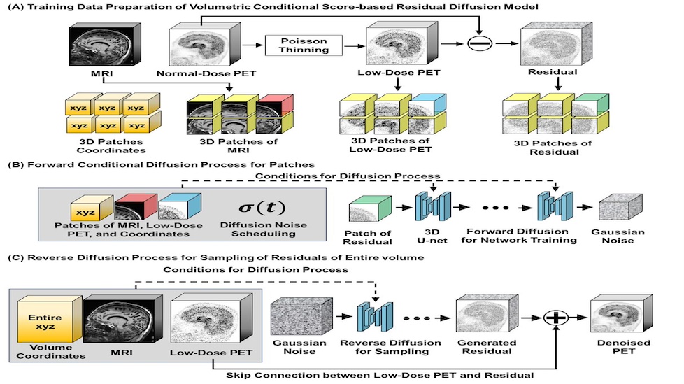 Siyeop Yoon, 3 papers accepted at the MICCAI 2024 main conference!